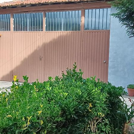 Casa Da Vovo Ceu - Casa De Campo Gandaresa - Country House, Entre Coimbra E Aveiro, A 15 Minutos Carro Praia Mira - Quintal Com Piscina Insuflavel Кантаньеди Экстерьер фото
