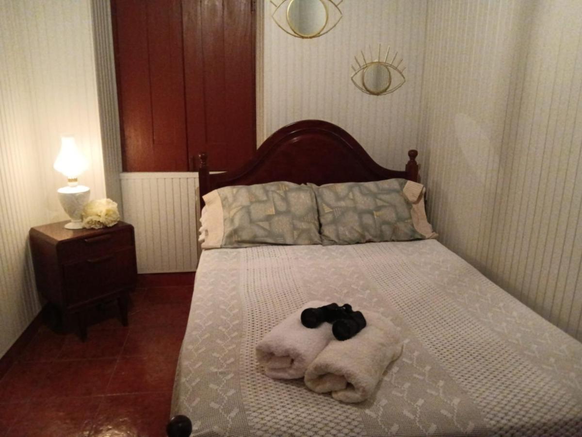 Casa Da Vovo Ceu - Casa De Campo Gandaresa - Country House, Entre Coimbra E Aveiro, A 15 Minutos Carro Praia Mira - Quintal Com Piscina Insuflavel Кантаньеди Экстерьер фото